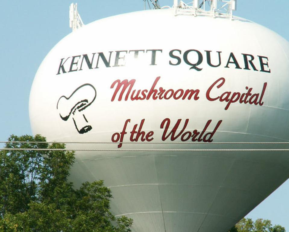 Photo of a water tower with the words "Kennett Square: Mushroom Capital of the World" and an illustration of a mushroom on the side